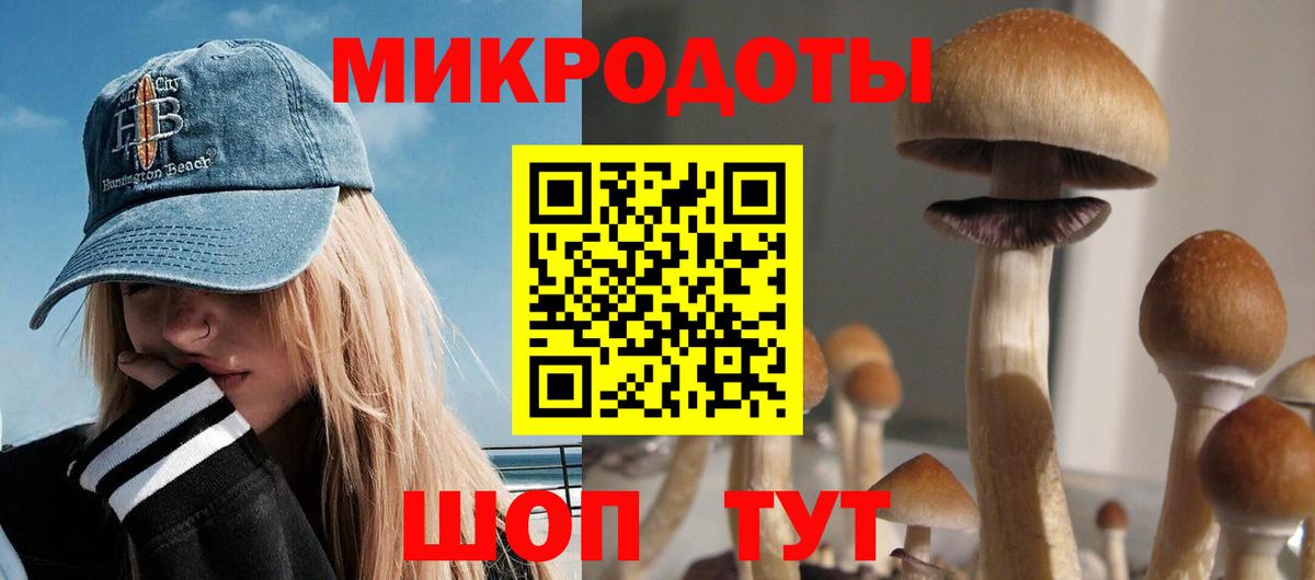 Псилоцибиновые грибы MAGIC MUSHROOMS Кубинка