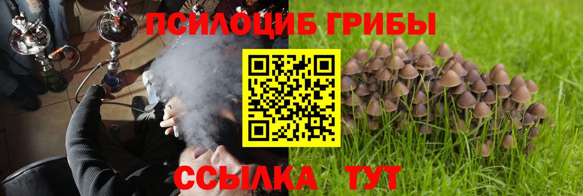 Галлюциногенные грибы мухоморы  Вход с VPN  Кубинка 